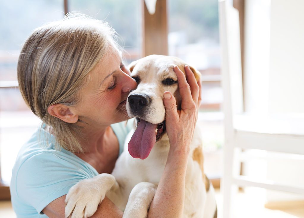 pet therapy benefits
